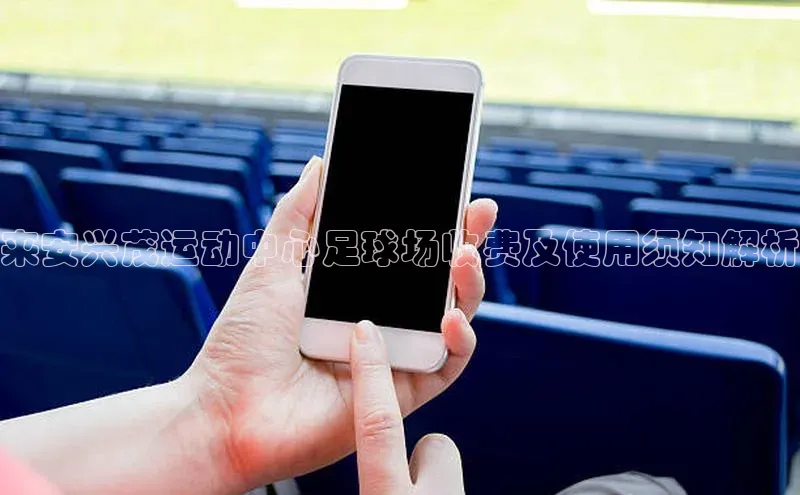 九游会j9官网登录入口百度翻译来安兴茂运动中心足球场收费及使用须知解析