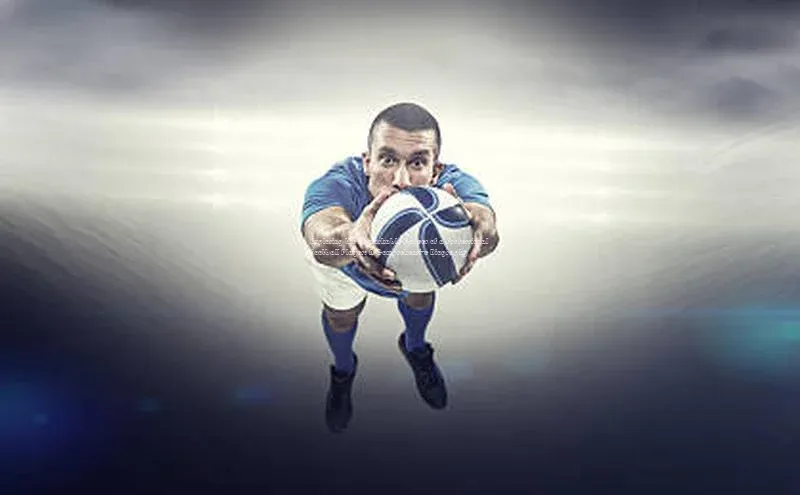 九游会j9官网登录入口百度大脑Exploring the Remarkable Career of a Professional Football Player: A Comprehensive Bi