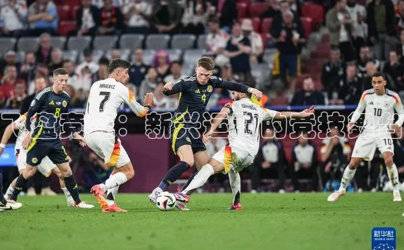 飞盘竞速：新兴运动的竞技舞台