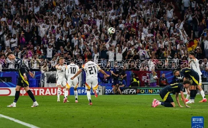 激情与活力：滨城区运动赛事精彩回顾与展望