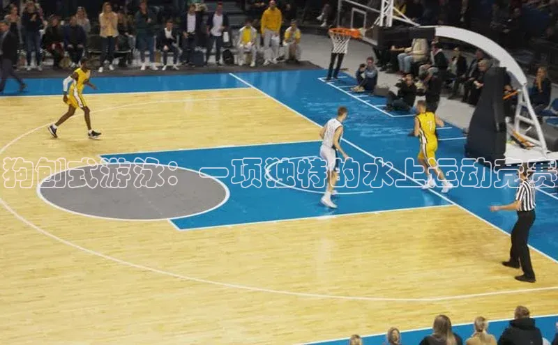 狗刨式游泳：一项独特的水上运动竞赛