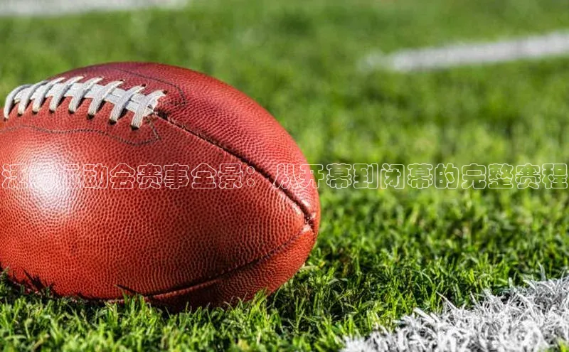 泛美运动会赛事全景：从开幕到闭幕的完整赛程