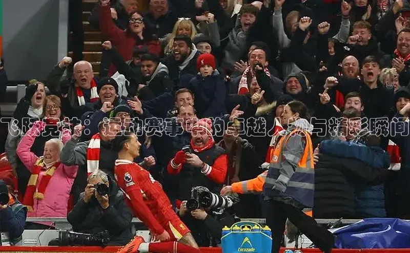 飞跃竞技：运动赛事中的卓越人物与精彩瞬间