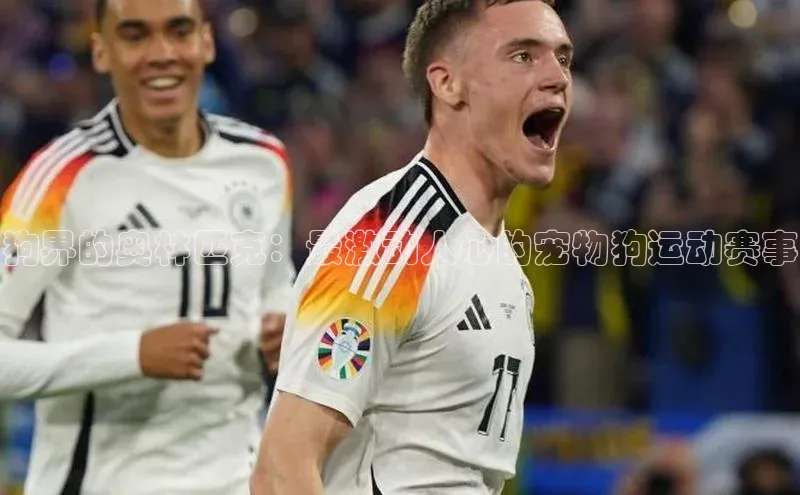 狗界的奥林匹克：最激动人心的宠物狗运动赛事