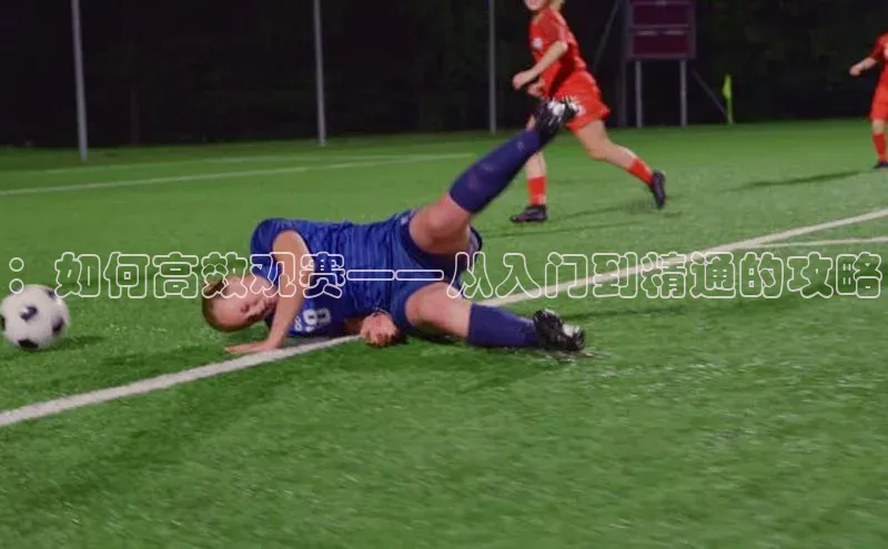 ：如何高效观赛——从入门到精通的攻略