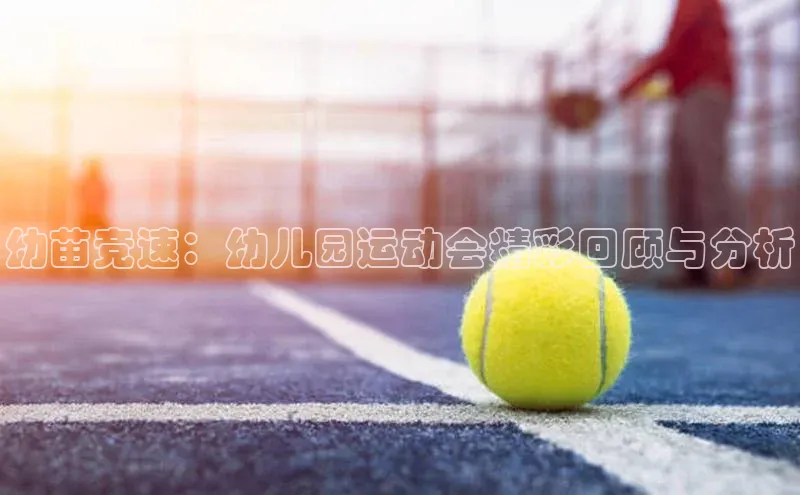 幼苗竞速：幼儿园运动会精彩回顾与分析