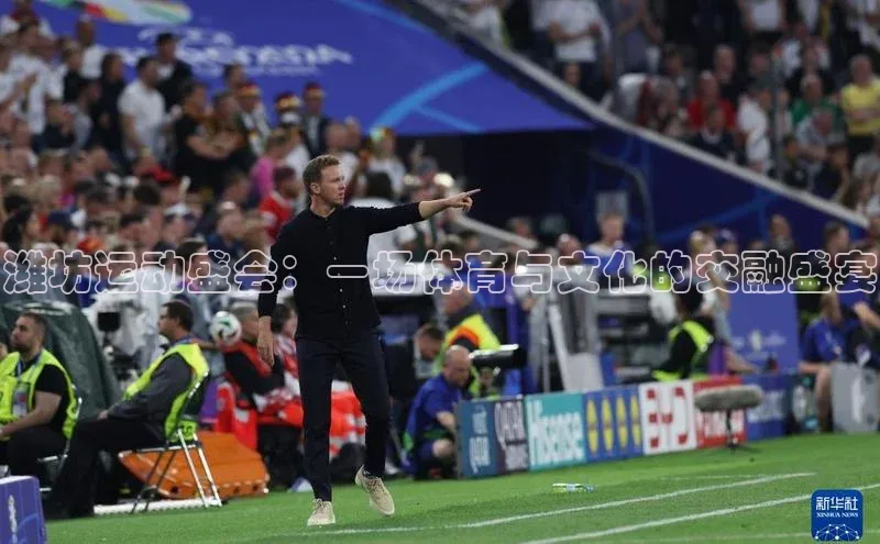 潍坊运动盛会：一场体育与文化的交融盛宴