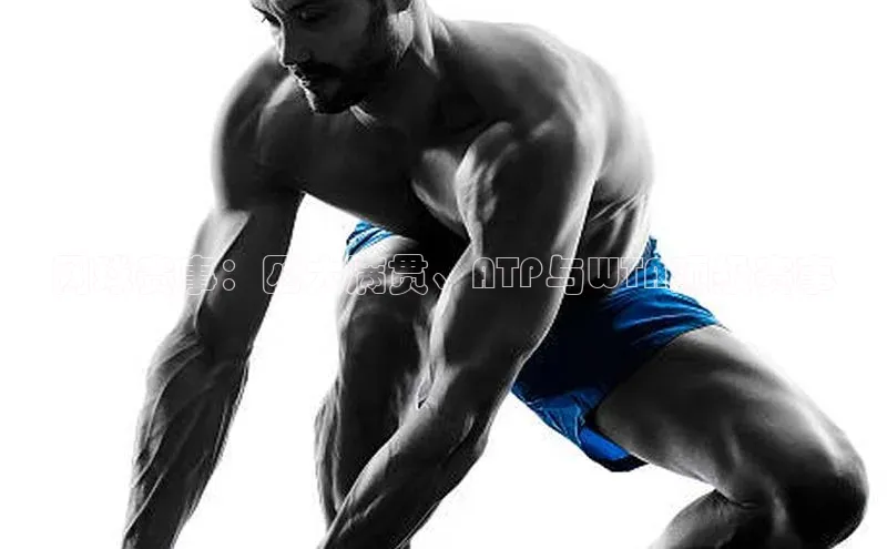 网球赛事：四大满贯、ATP与WTA顶级赛事