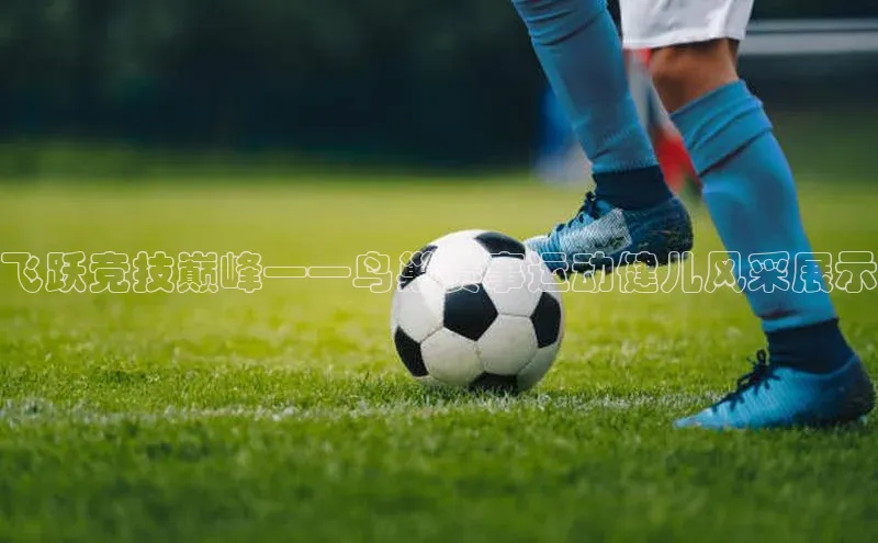 飞跃竞技巅峰——鸟巢赛事运动健儿风采展示