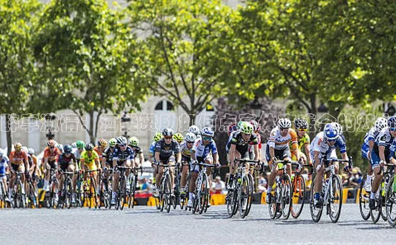 醉享激情：酒类赞助如何点亮体育盛会的魅力