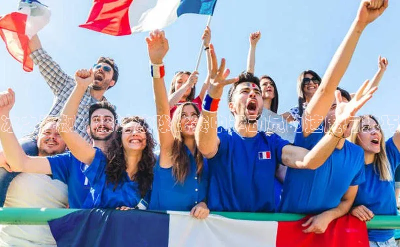 冰之狂飙：探讨冰球比赛中运动员的速度与技巧