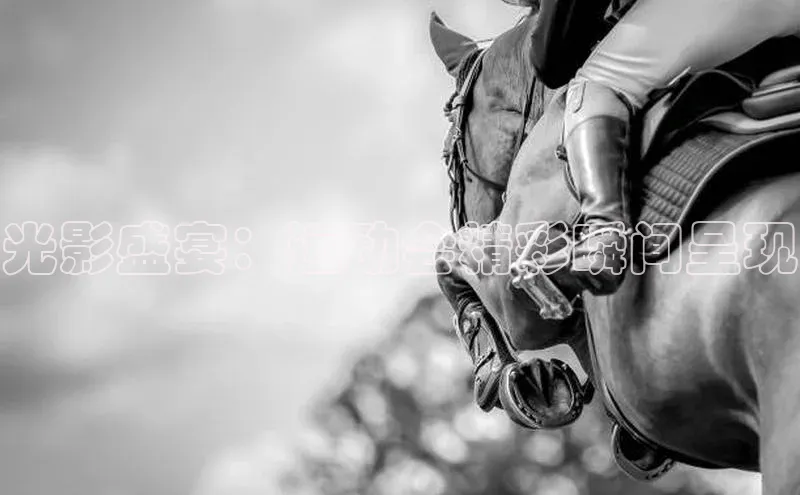 九游j9登录入口首页