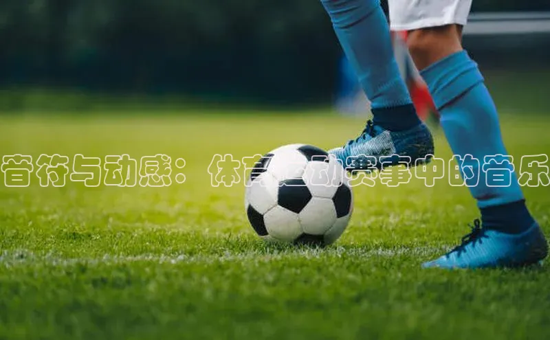 j9九游会真人第一品牌