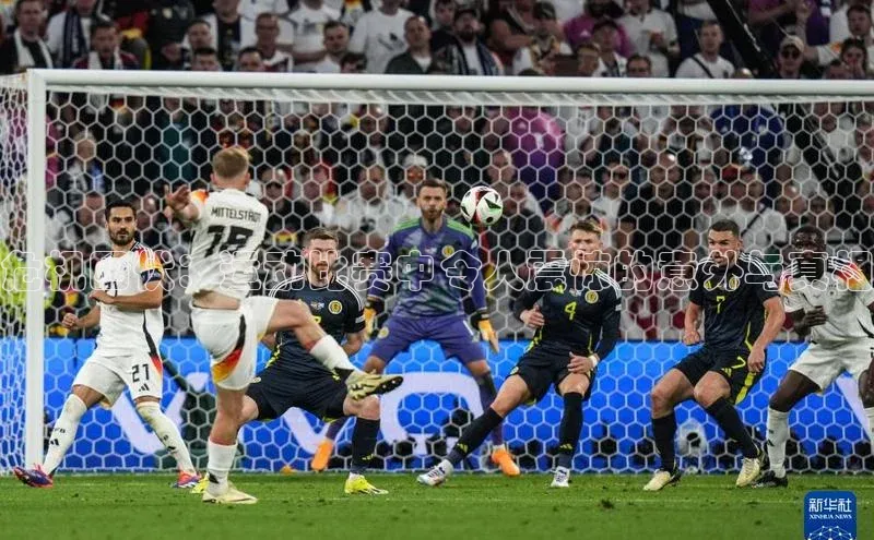 危机四伏：运动比赛中令人震惊的意外与真相